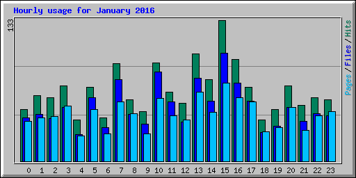 Hourly usage for January 2016