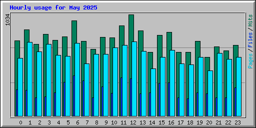 Hourly usage for May 2025