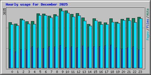 Hourly usage for December 2025