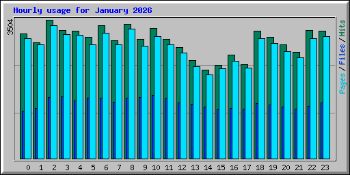 Hourly usage for January 2026